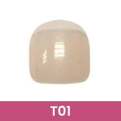 T01