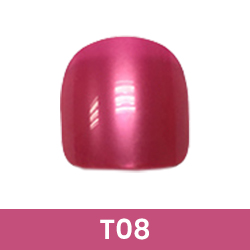 T08