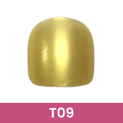 T09